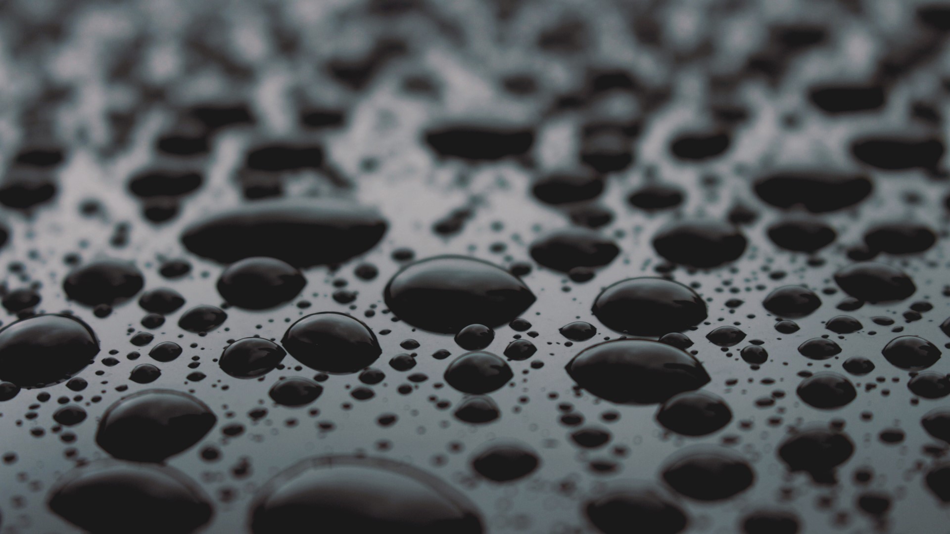 Fluid Dynamics